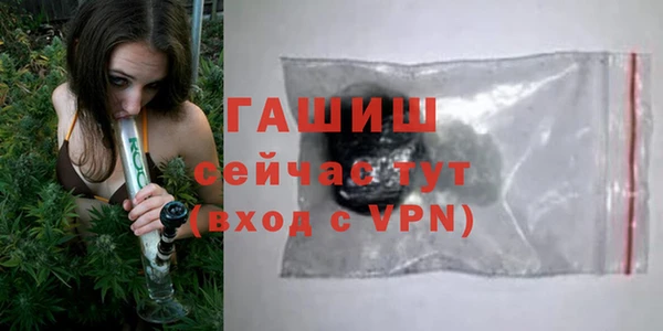 шишки Абаза