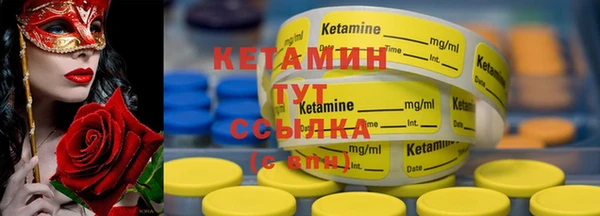 шишки Абаза