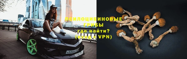 шишки Абаза