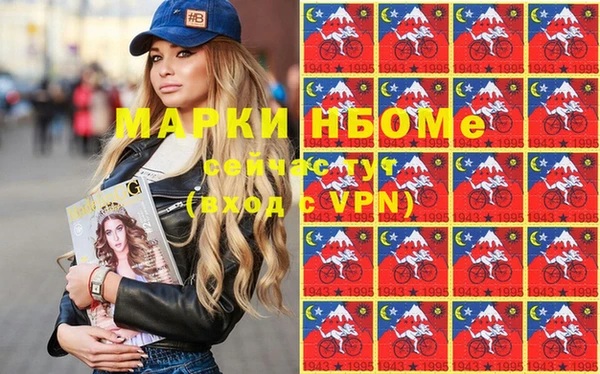 шишки Абаза