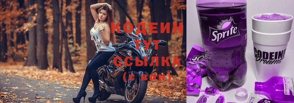 шишки Абаза