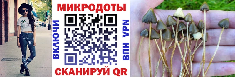 Галлюциногенные грибы мухоморы  Алексеевка 