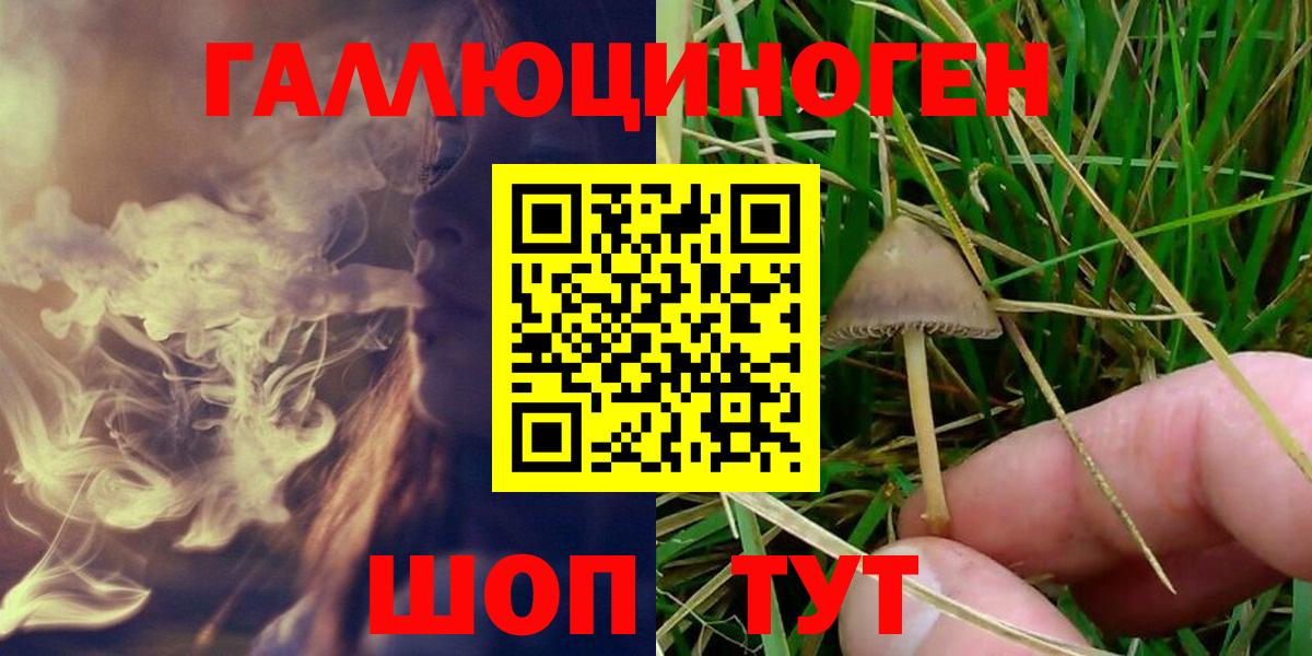 Алексеевка  Галлюциногенные грибы Cubensis  Вход с VPN 